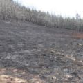 Post burn 2009