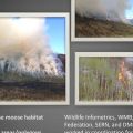 DMK-2014-Prescribed-Burns-1000.jpg
